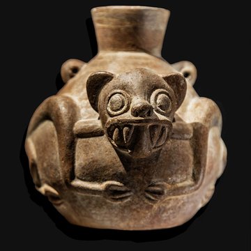 Musée des Amériques - Auch