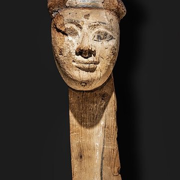 Musée des Amériques - Auch