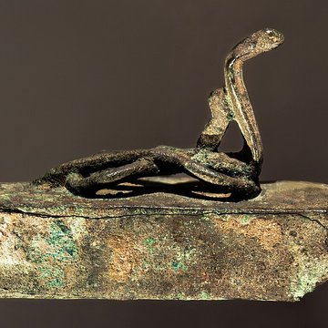 Musée des Amériques - Auch