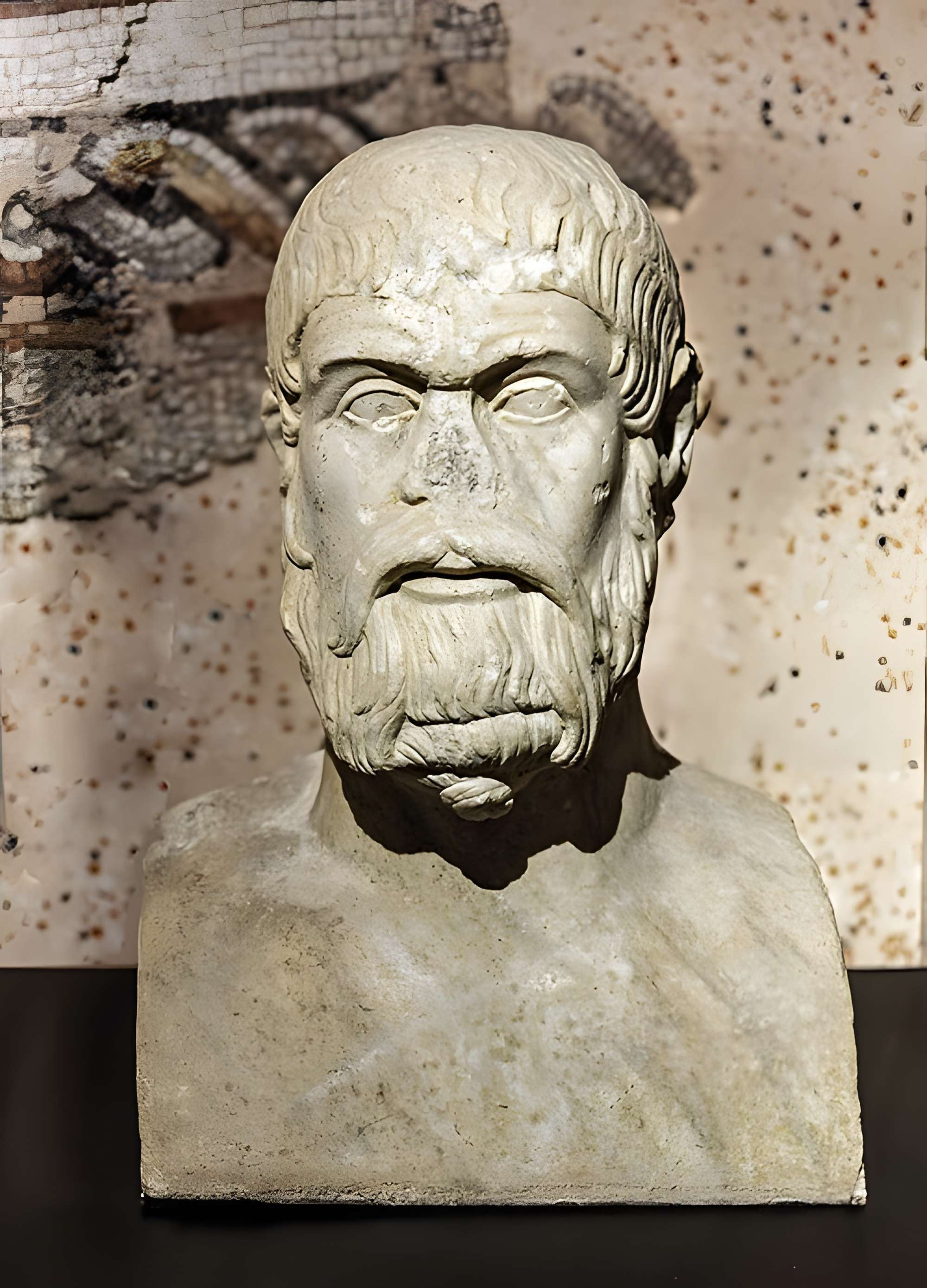 Musée des Amériques - Auch