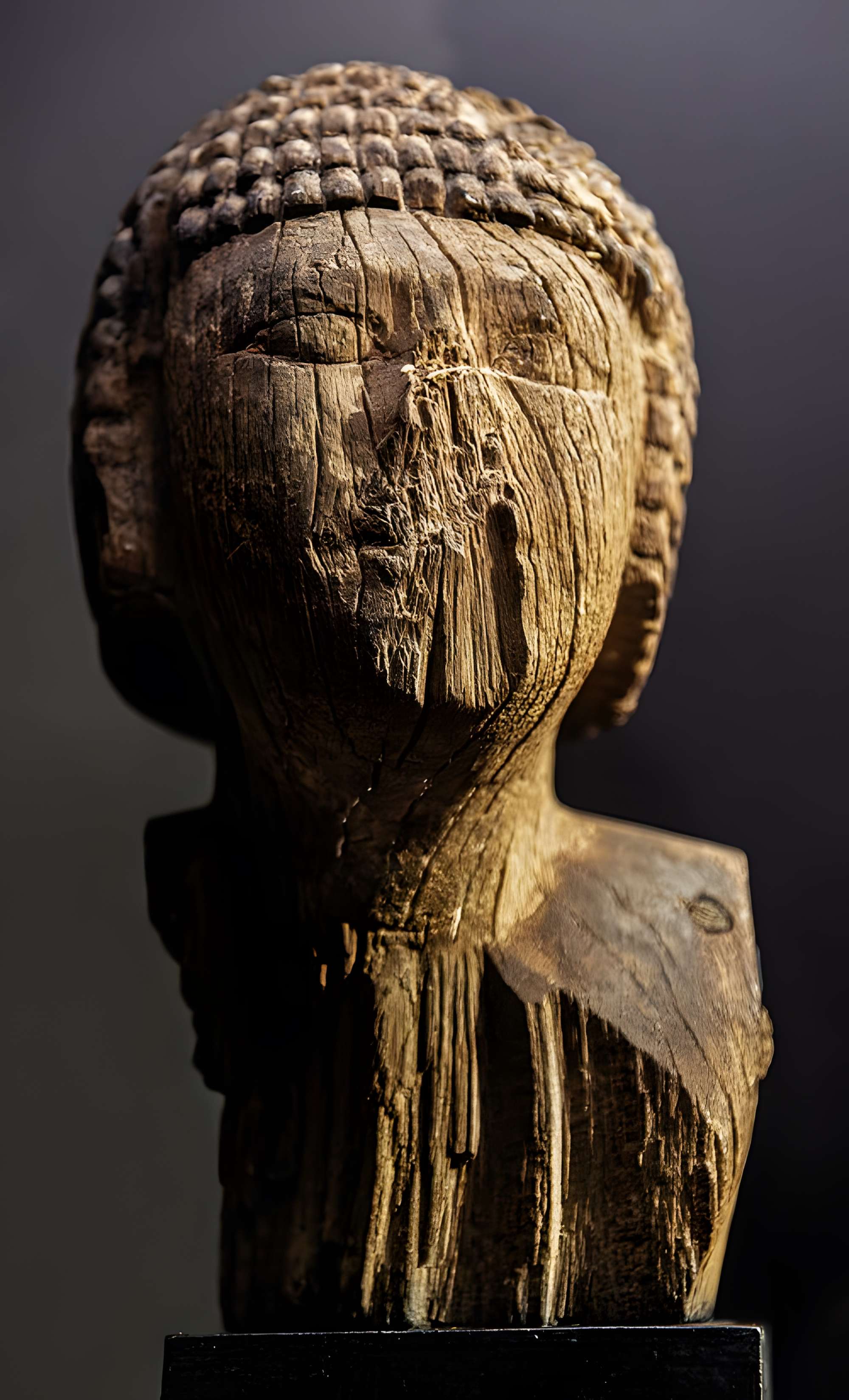 Musée des Amériques - Auch