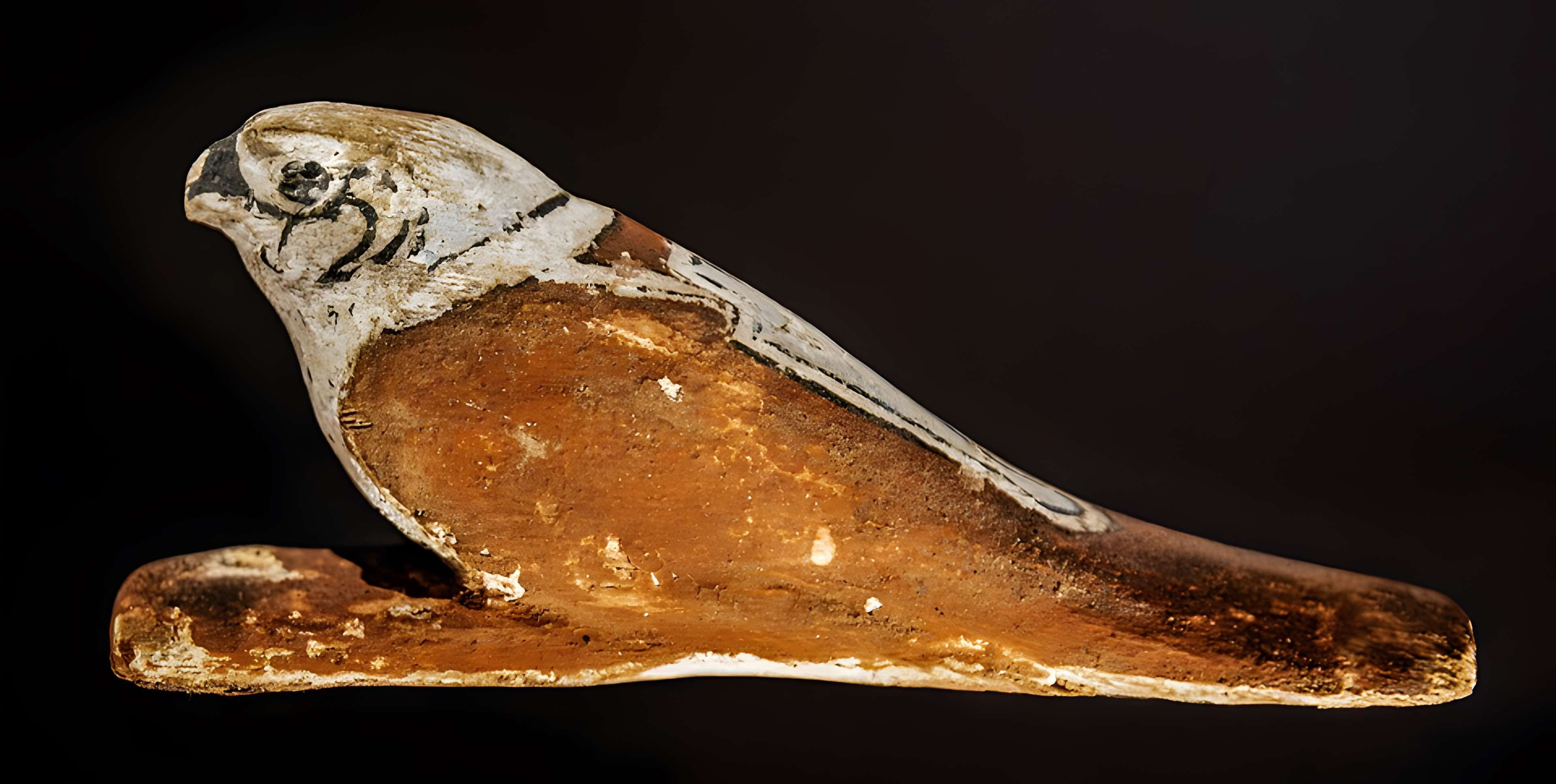 Musée des Amériques - Auch