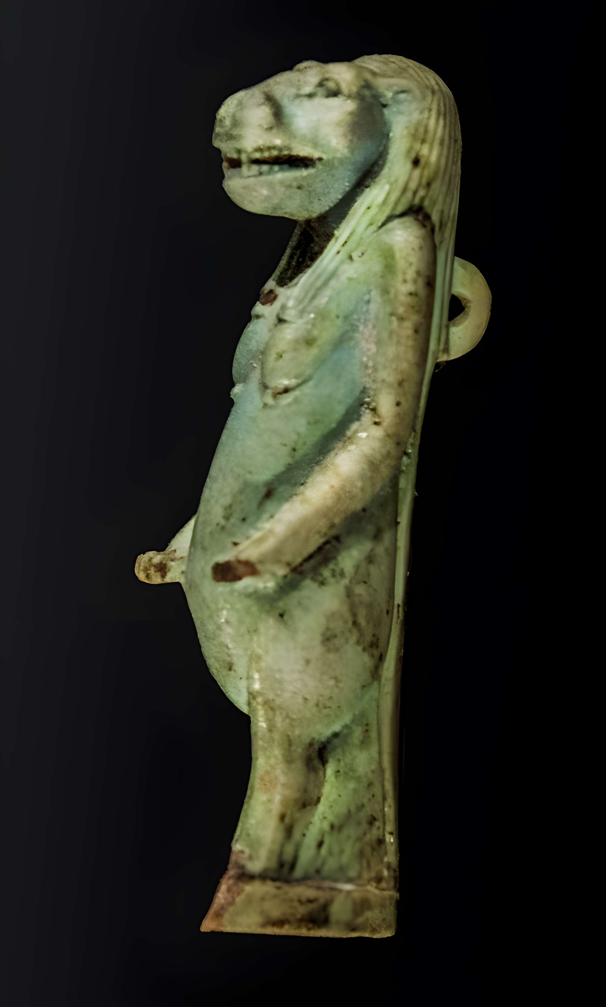 Musée des Amériques - Auch