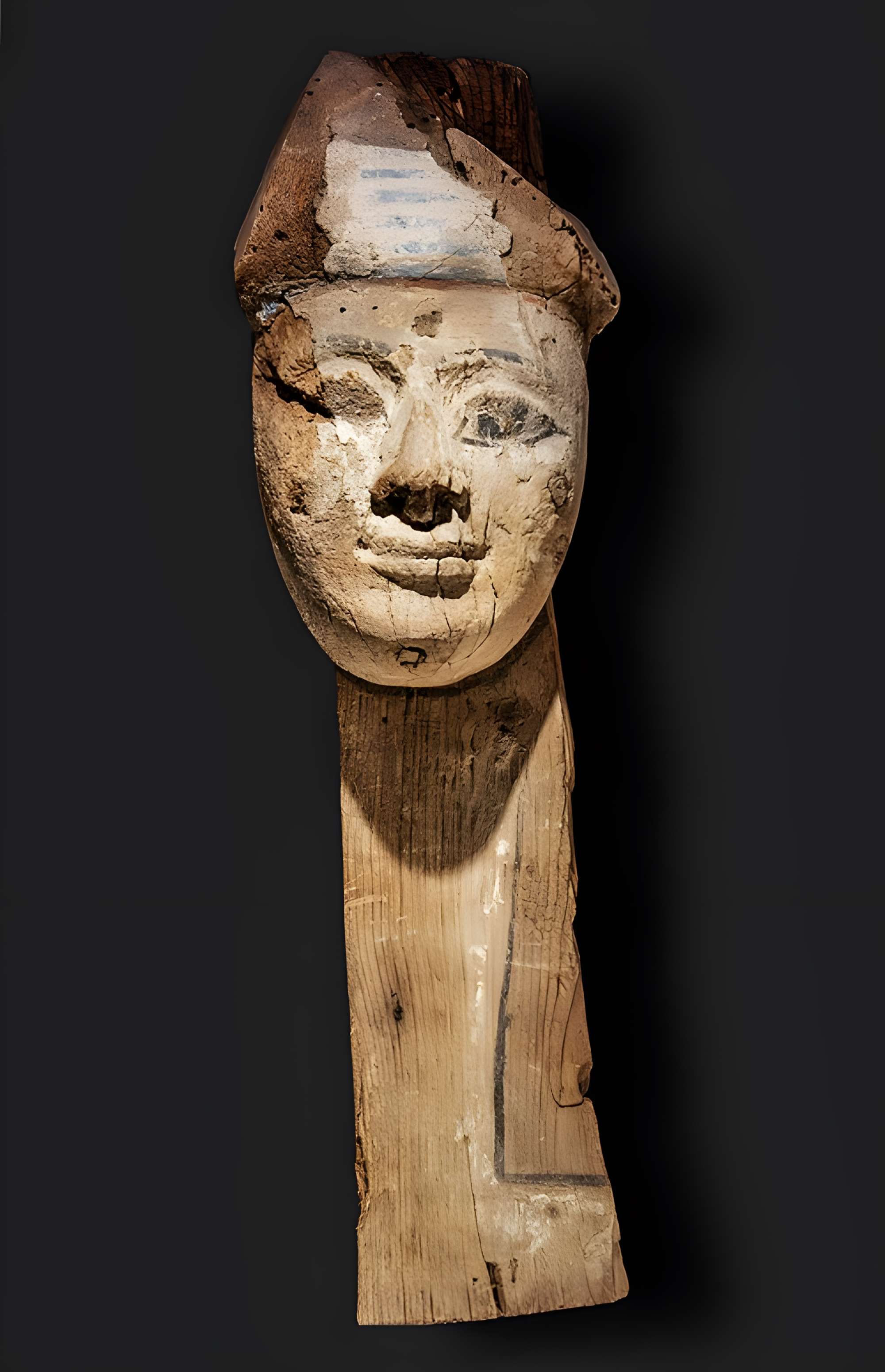 Musée des Amériques - Auch