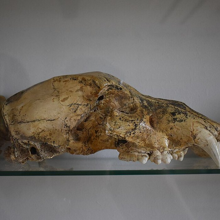 Photo de Musée archéologique