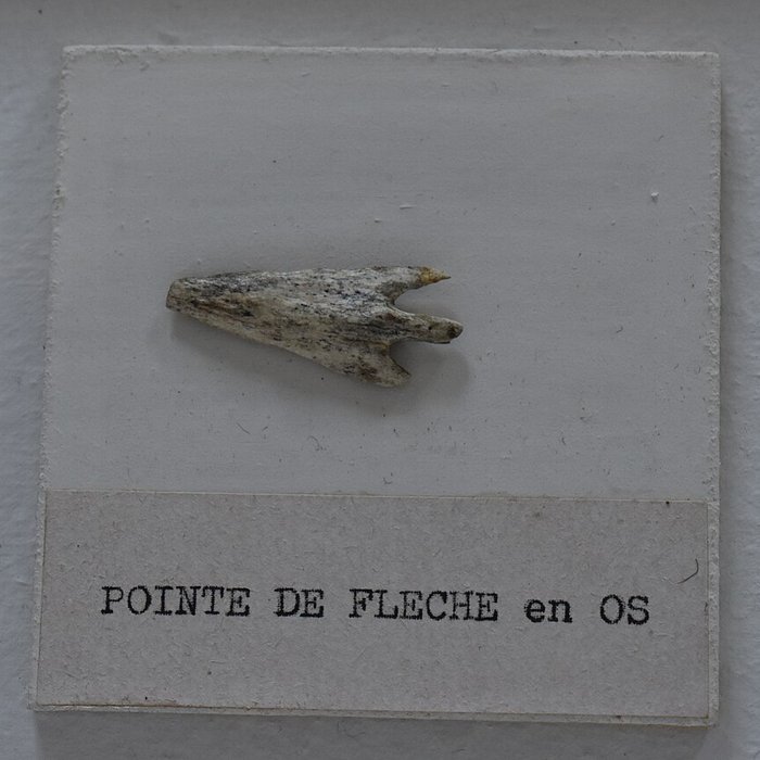 Photo de Musée archéologique