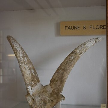 Musée archéologique