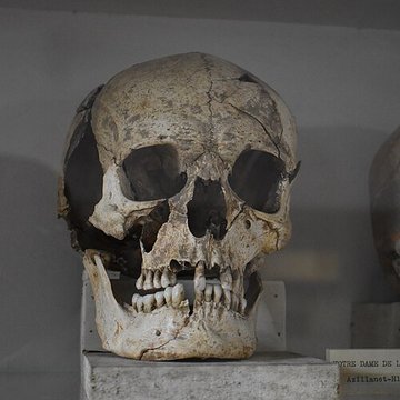 Musée archéologique