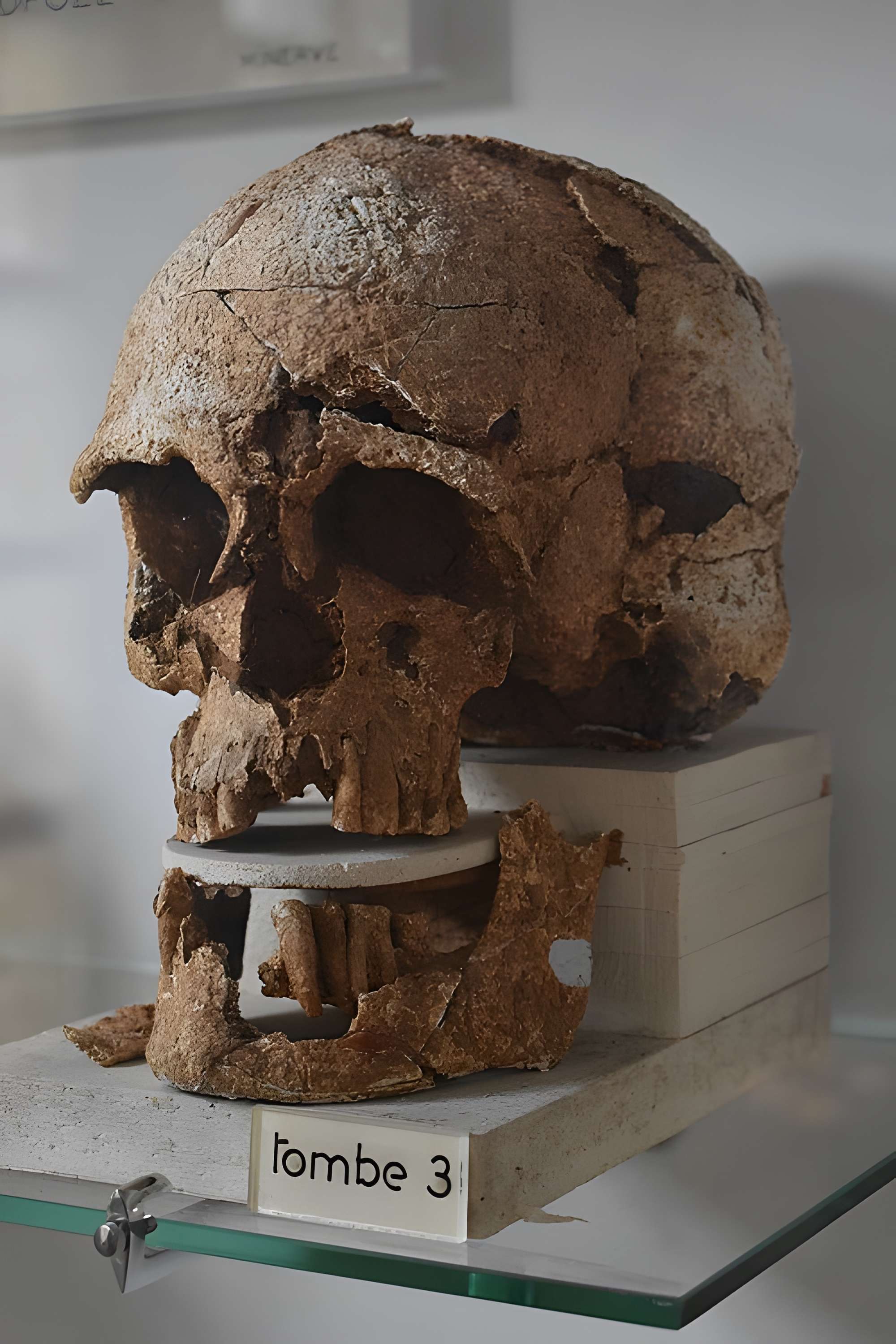 Musée archéologique