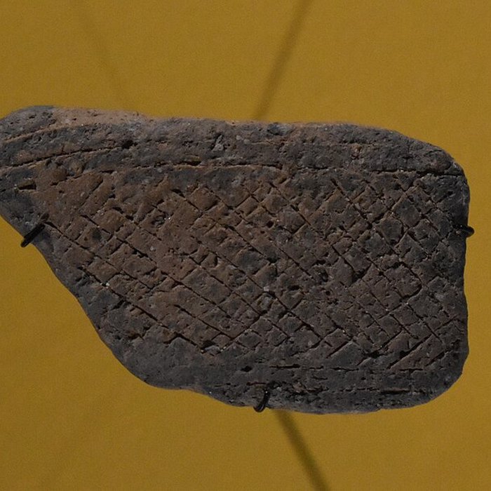 Photo de Musée de lEphèbe