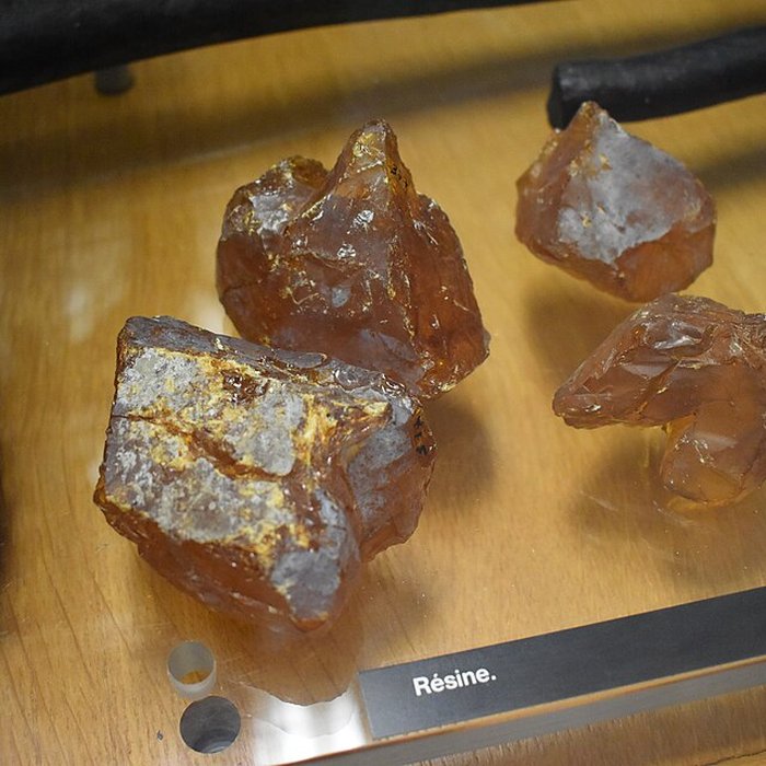 Photo de Musée de lEphèbe