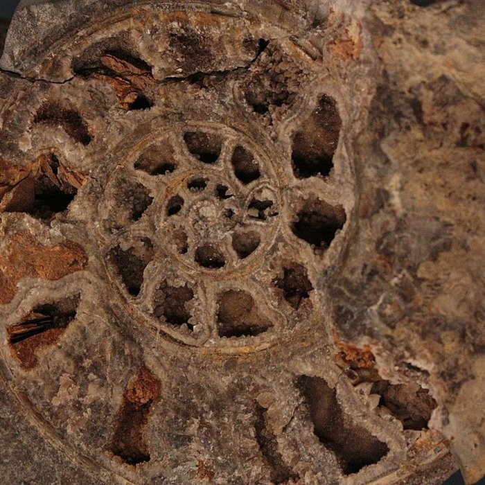 Photo de Musée de Lodève – hôtel du cardinal de Fleury