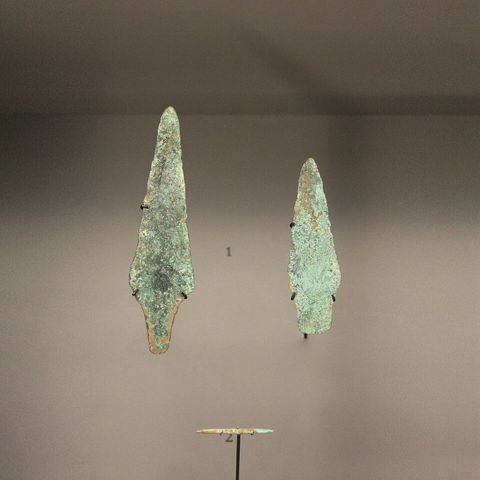 Photo de Musée de Lodève – hôtel du cardinal de Fleury