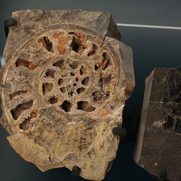 Musée de Lodève – hôtel du cardinal de Fleury