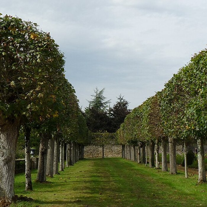 Photo de Musée des rochers de Sévigné