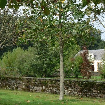 Musée des rochers de Sévigné