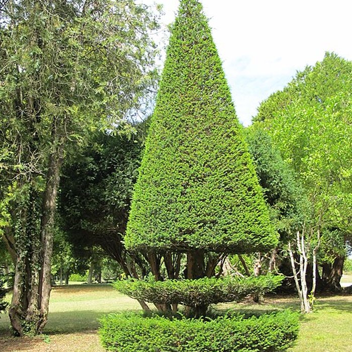 Photo de Château musée