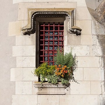 Musée d’art et d’histoire d’Amboise