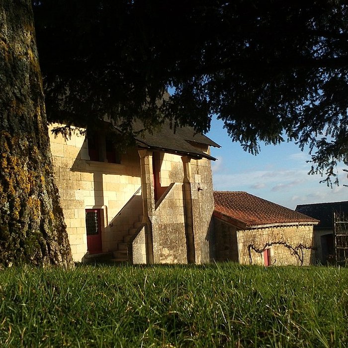 Photo de Musée Rabelais