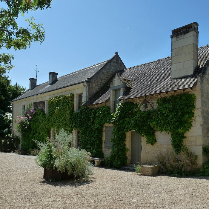 Photo de Musée Rabelais