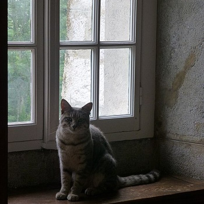 Photo de Musée de la Grande Chartreuse