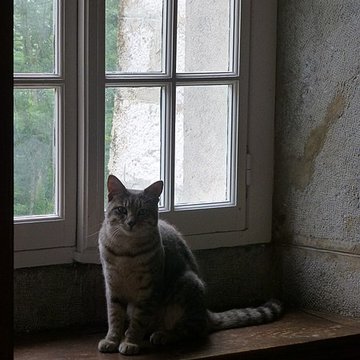 Musée de la Grande Chartreuse