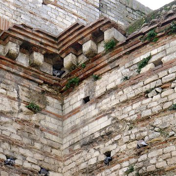 Thermes de Constantin à Arles