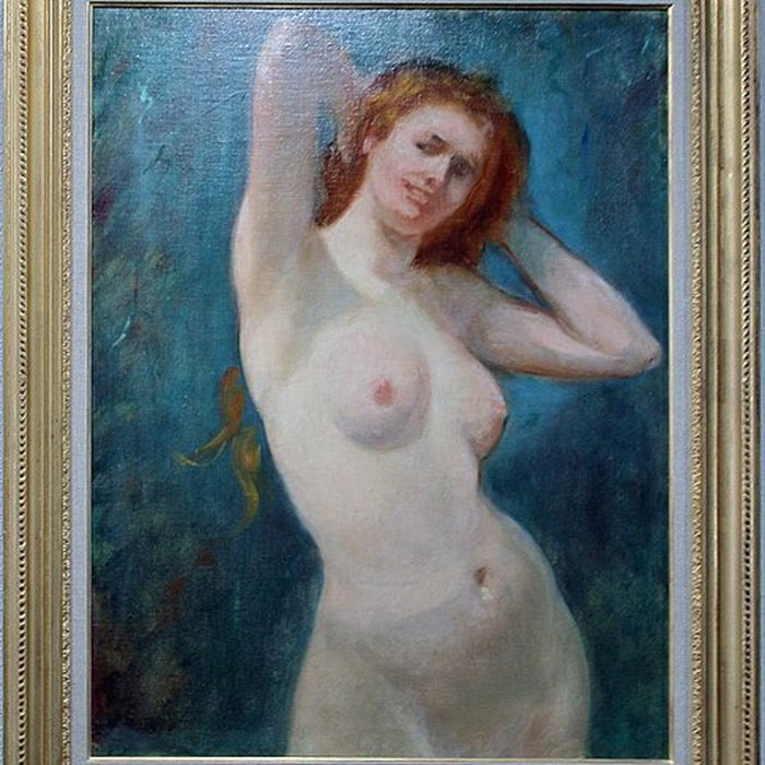 Photo de Musée Mainssieux