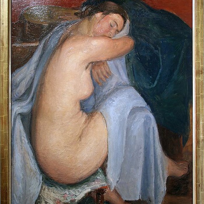 Photo de Musée Mainssieux