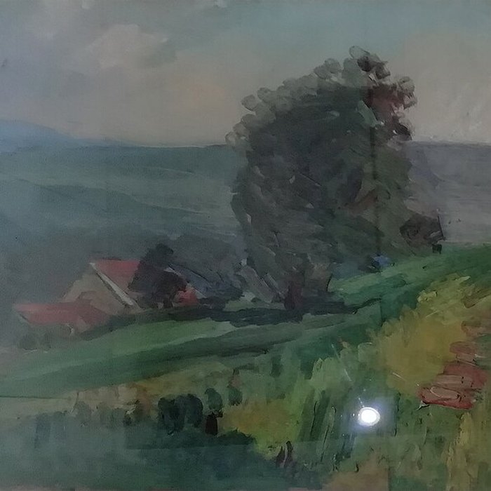 Photo de Musée Mainssieux