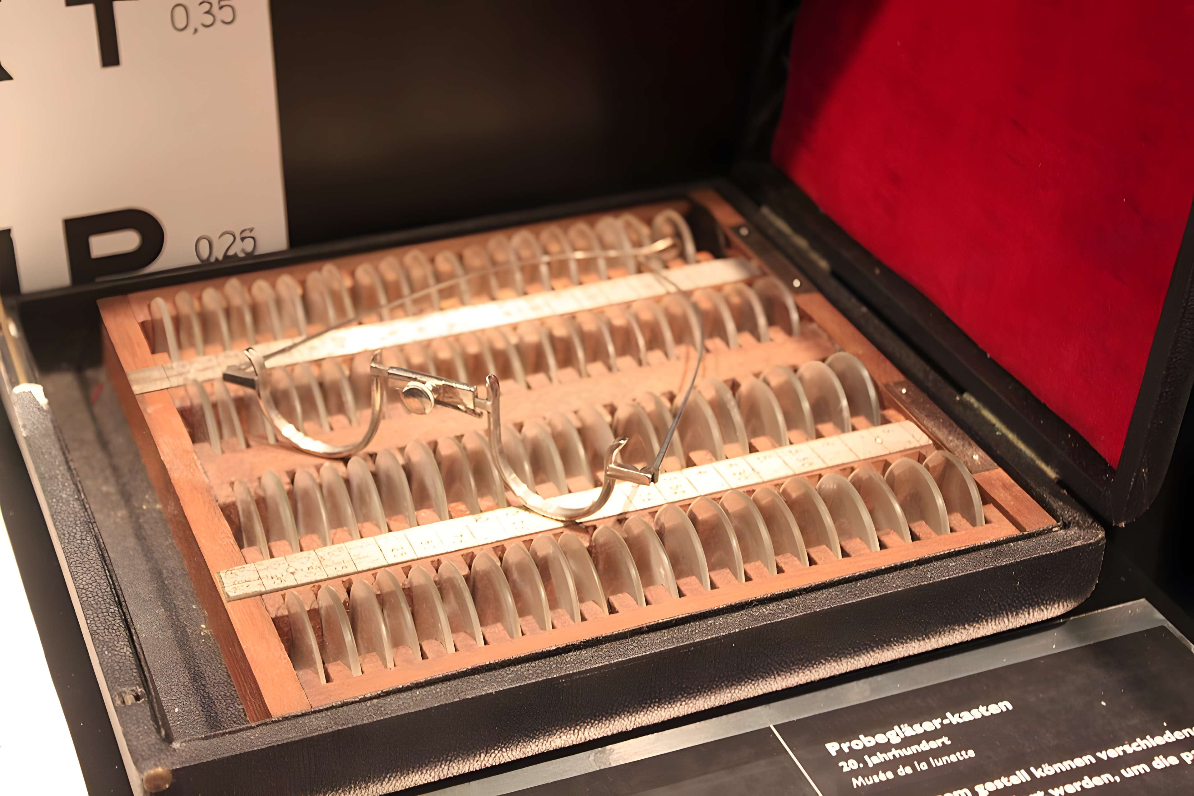 Musée de la lunette-Viséum (collections musée de la lunette et musée Jourdain)