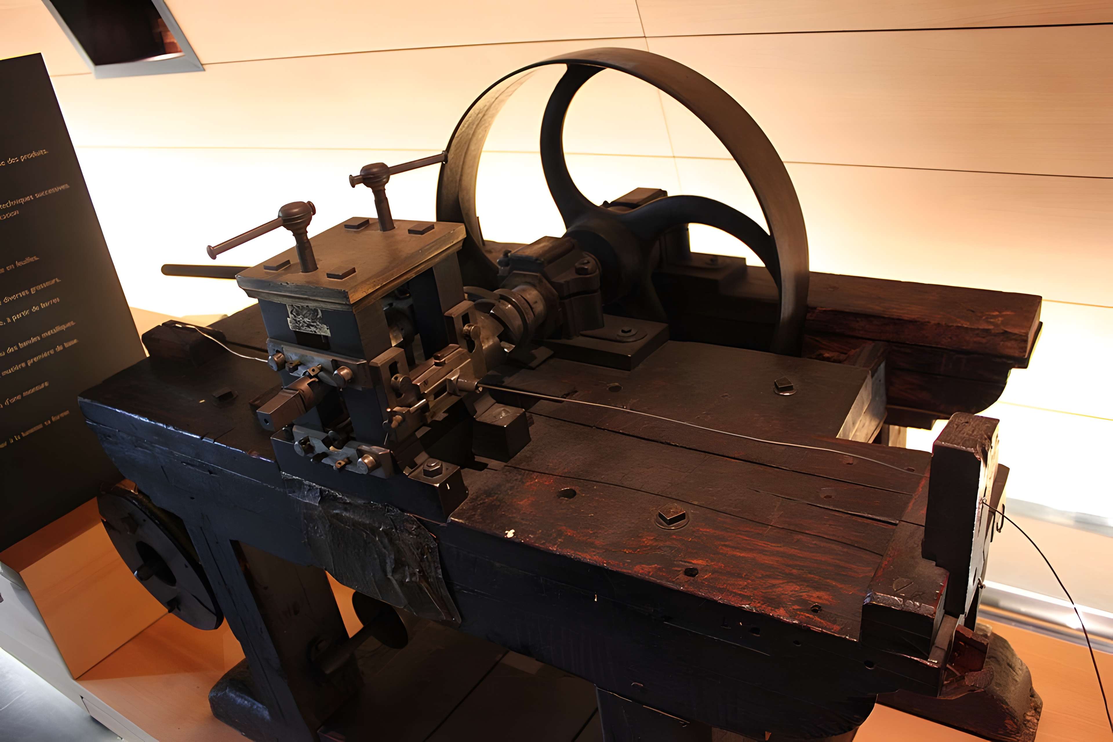 Musée de la lunette-Viséum (collections musée de la lunette et musée Jourdain)