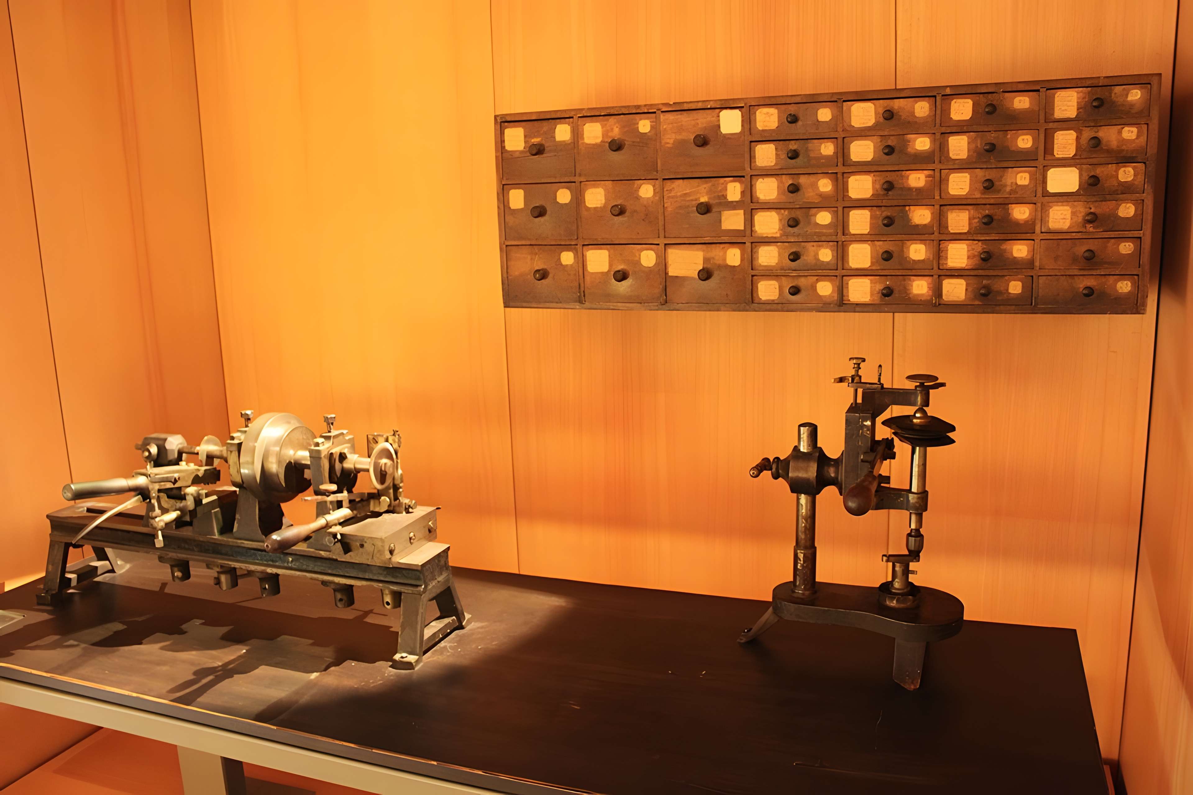 Musée de la lunette-Viséum (collections musée de la lunette et musée Jourdain)