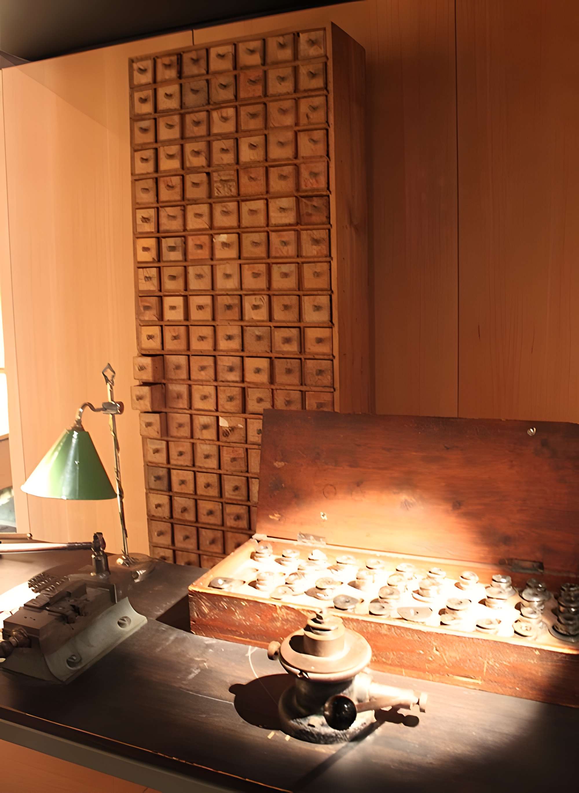 Musée de la lunette-Viséum (collections musée de la lunette et musée Jourdain)