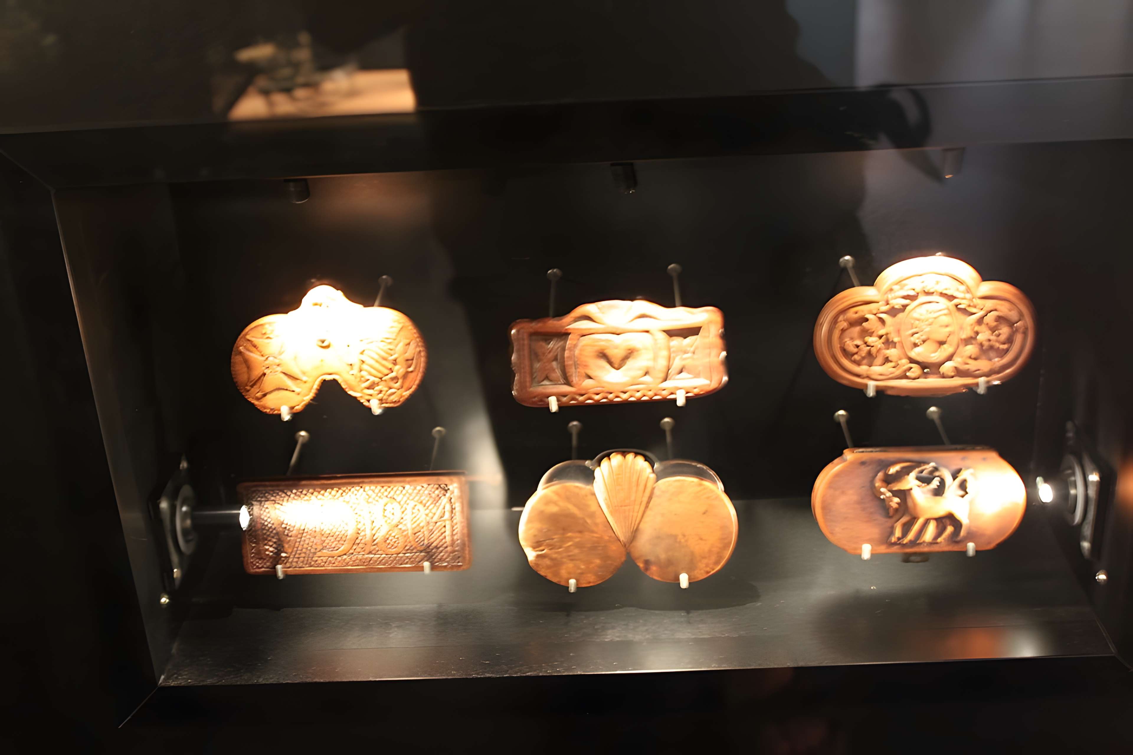 Musée de la lunette-Viséum (collections musée de la lunette et musée Jourdain)