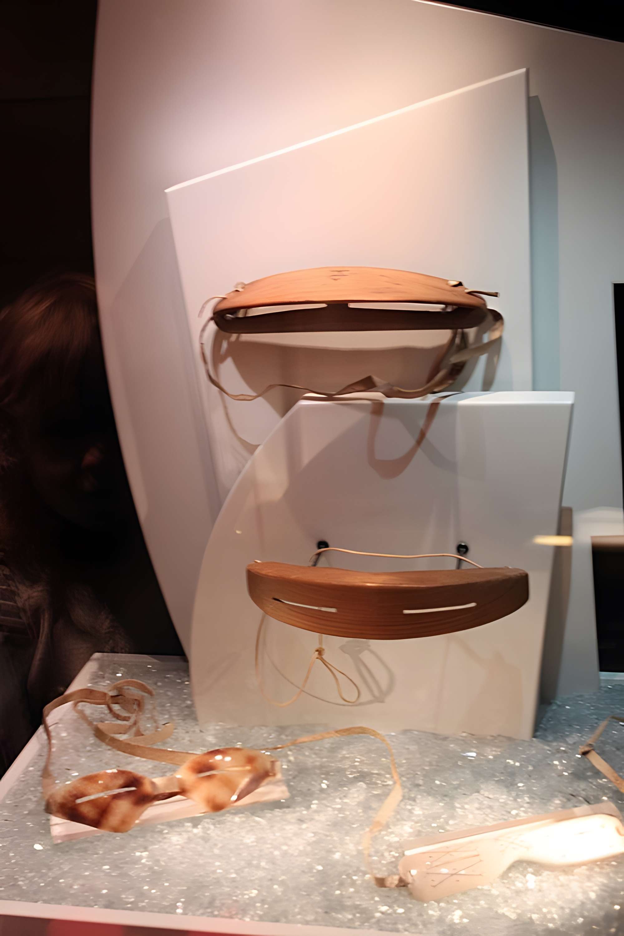 Musée de la lunette-Viséum (collections musée de la lunette et musée Jourdain)