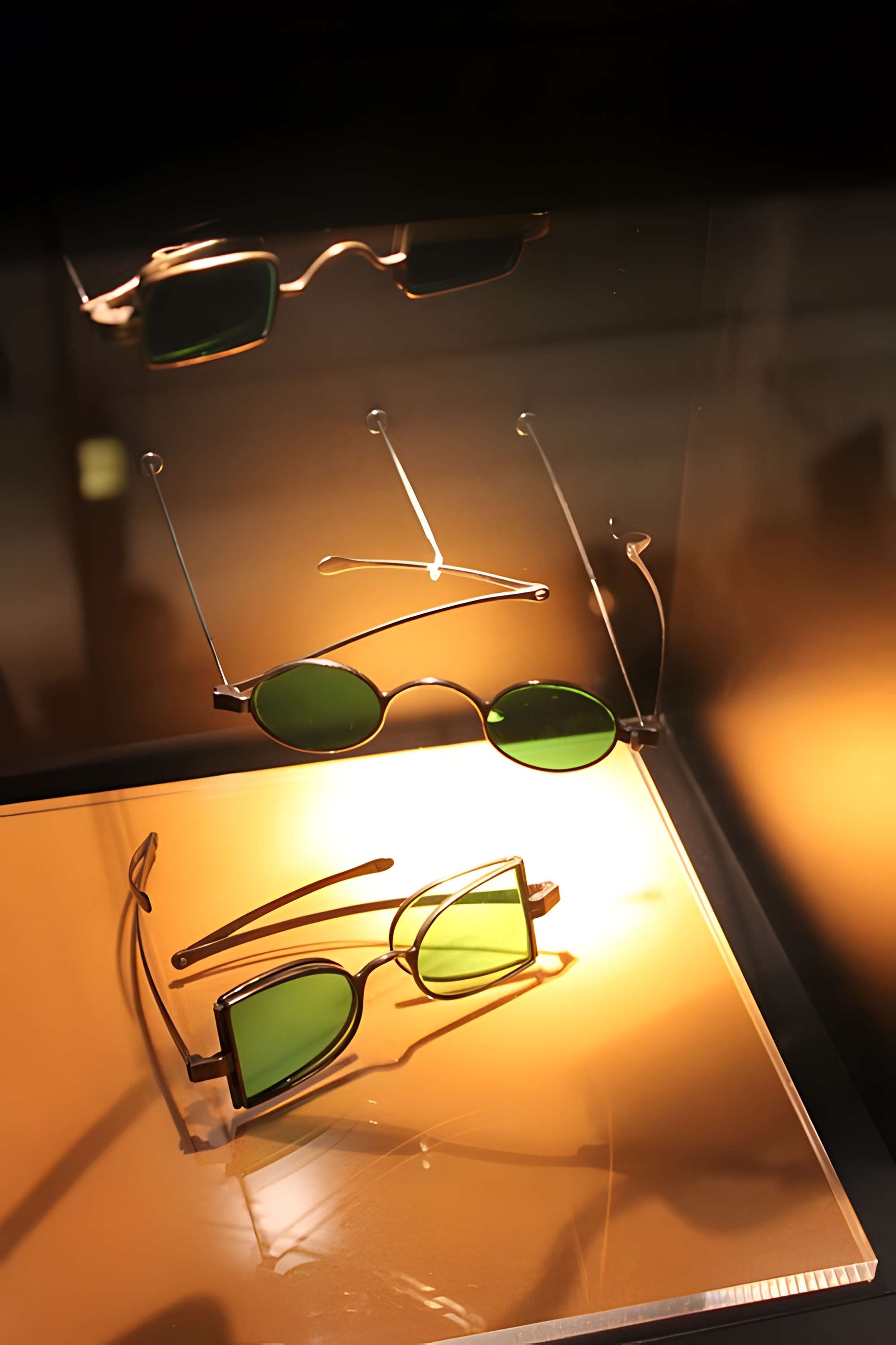 Musée de la lunette-Viséum (collections musée de la lunette et musée Jourdain)