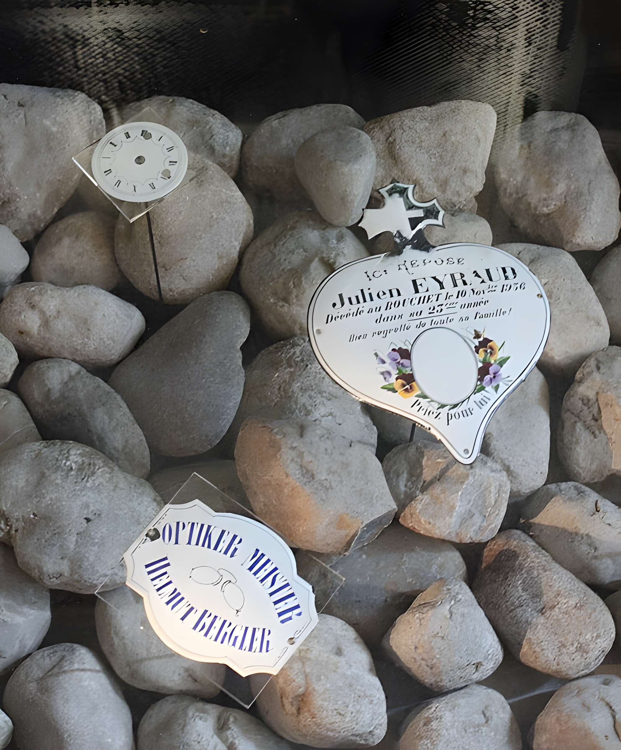 Musée de la lunette-Viséum (collections musée de la lunette et musée Jourdain)