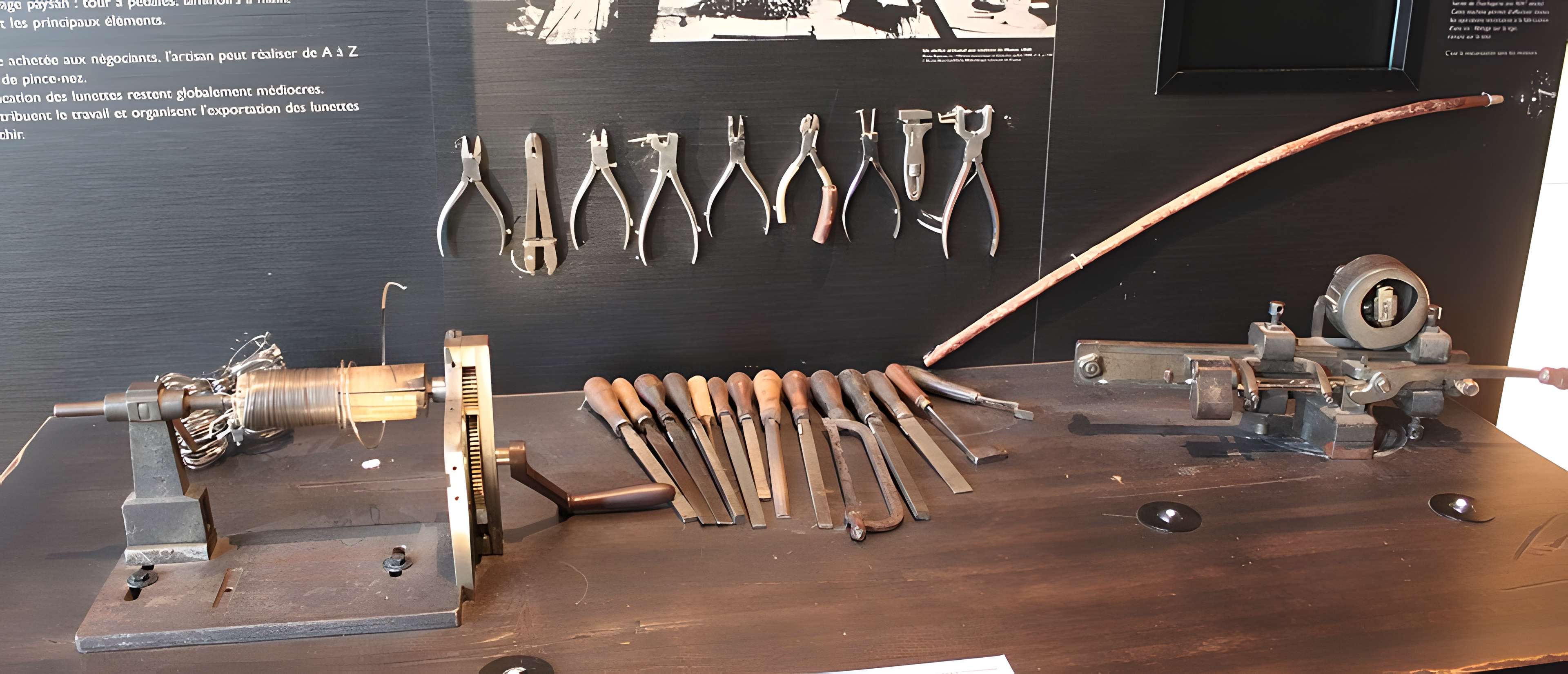 Musée de la lunette-Viséum (collections musée de la lunette et musée Jourdain)