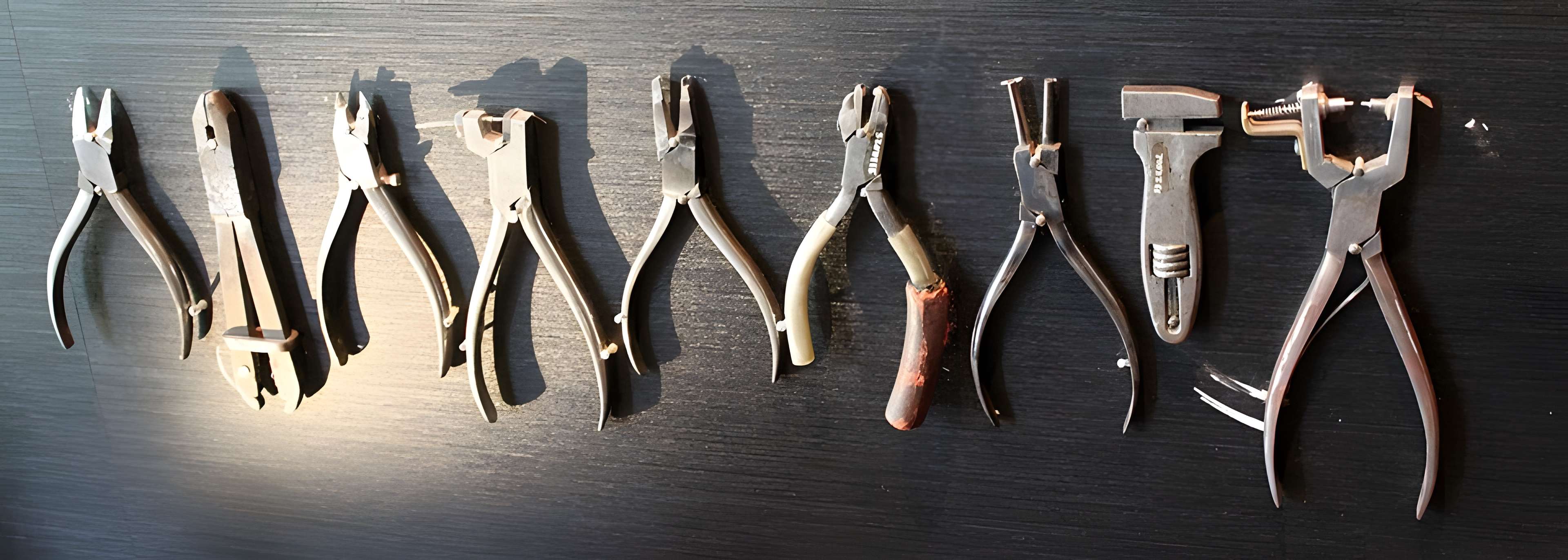 Musée de la lunette-Viséum (collections musée de la lunette et musée Jourdain)