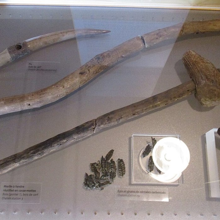 Photo de Musée des Beaux-Arts