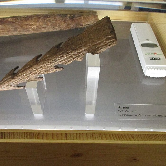 Photo de Musée des Beaux-Arts