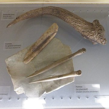 Musée des Beaux-Arts