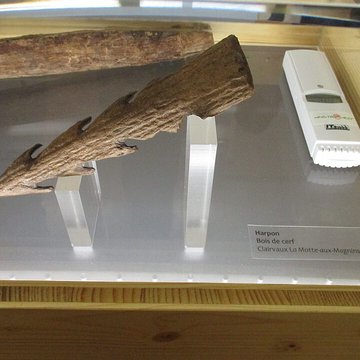 Musée des Beaux-Arts