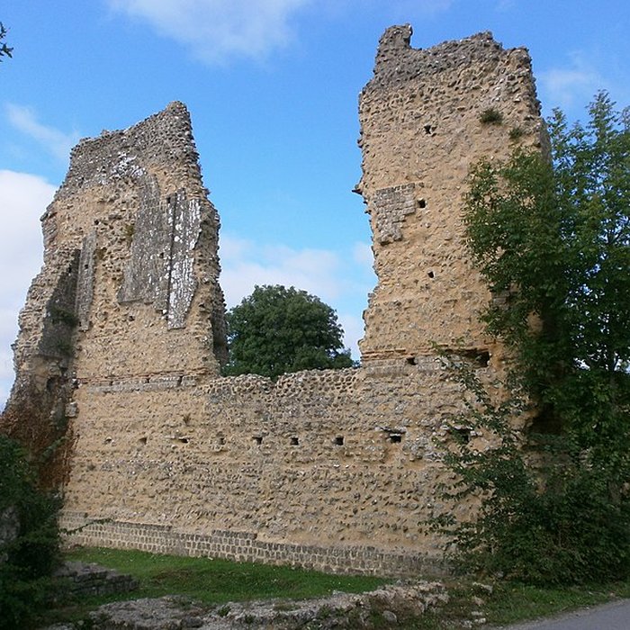 Photo de Thermes gallo-romains dAlleaume à Valognes
