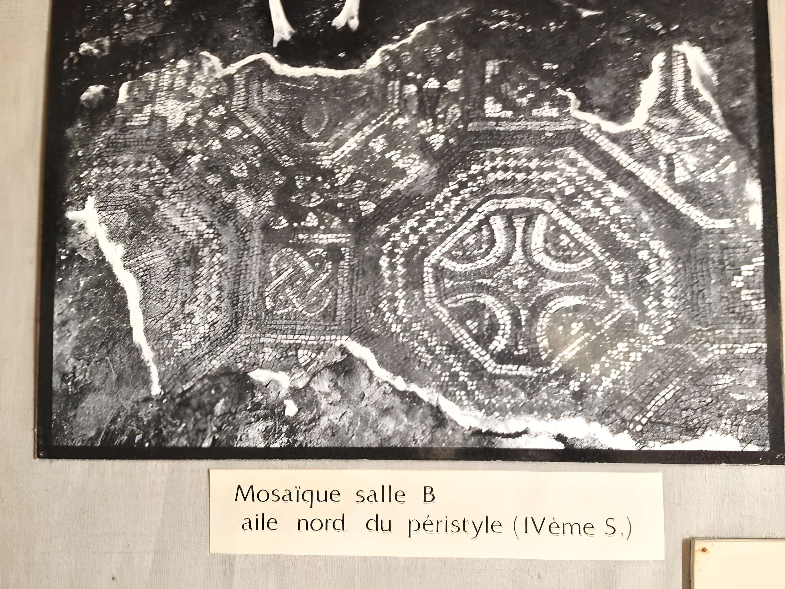 Musée d’art et d’histoire du Cap de Gascogne