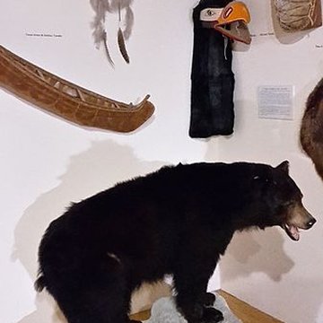 Musée des Civilisations : Daniel Pouget