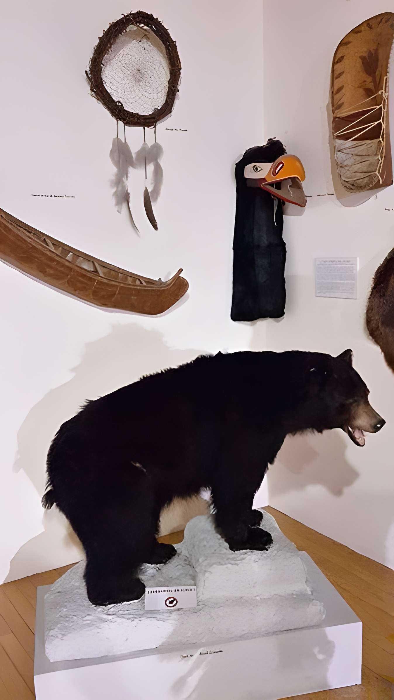 Musée des Civilisations : Daniel Pouget