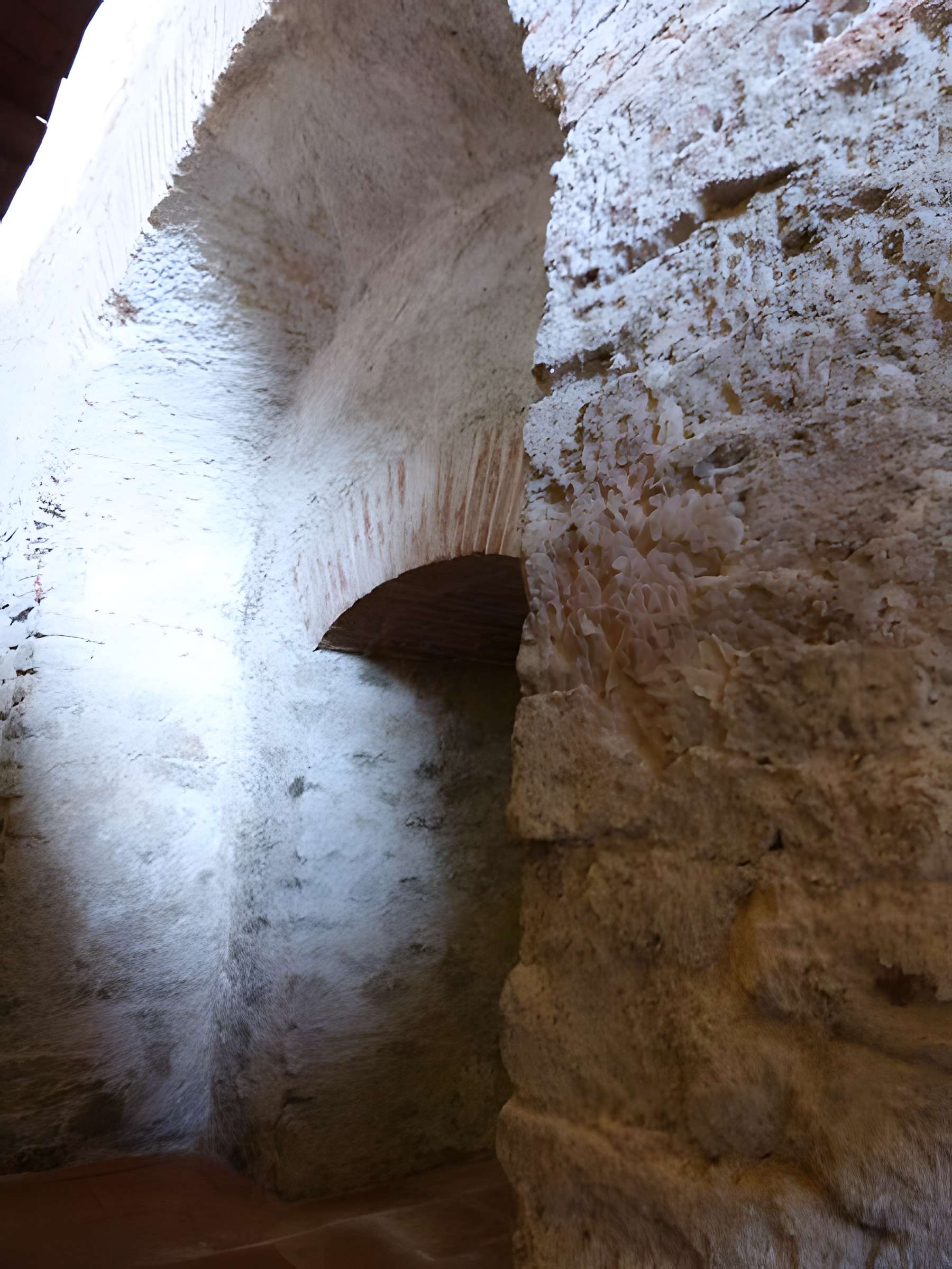 Thermes romains d'Amélie-les-Bains