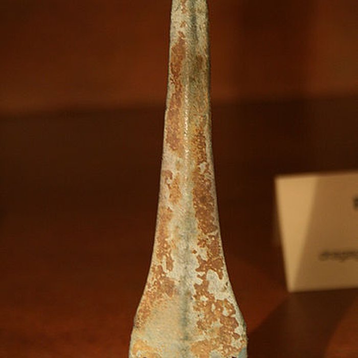 Photo de Muséum dOrléans pour la biodiversité et lenvironnement - MOBE